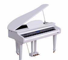 高科利花園專業(yè)運(yùn)鋼琴 鋼琴運(yùn)輸包裝一體化物流貨運(yùn)服務(wù)全解析